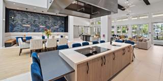 Mira at Palmer Ranch - 55+ Senior Living Community Gallery 38