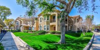 Mediterra Gallery 37