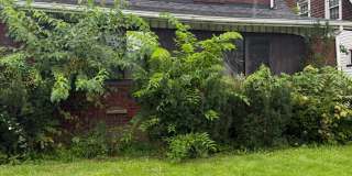 111 North Brockway Avenue - home 111 North Brockway Avenue - home Gallery 1