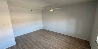 55+ Sun City Home Gallery 5