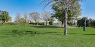 Skyview West Gallery 34