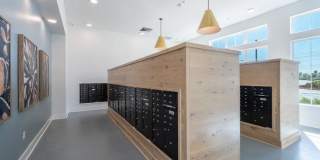 3403 Kyle Crossing Gallery 3