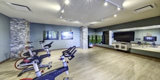 TGM Northshore Gallery 12