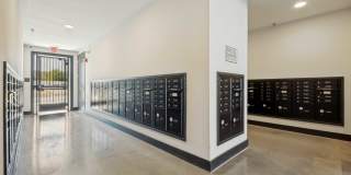 Palladium Carver Living Gallery 16