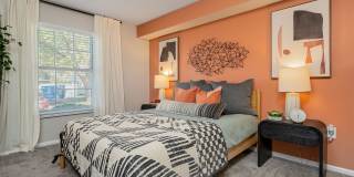 Steeplechase Gallery 28