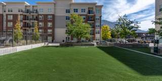 200 City View Gallery 61