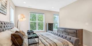 12258 SESSILE CMNS Gallery 29