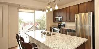 The Elysian Gallery 566