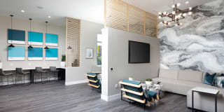 Rivue Gallery 18