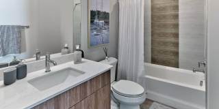 145 Goldsborough Dr Gallery 3