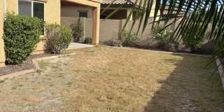 10743 W DESERT ELM Lane Gallery 42