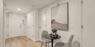 Stunning 1 Br 1 bath apartment in Bloomingdale Gallery 5