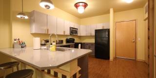 Settlement Place Gallery 204