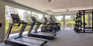 Triton Glen Gallery 29