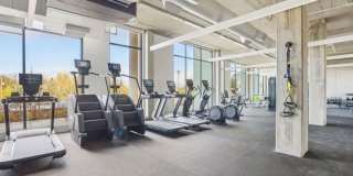 Splash Apartments Gallery 55