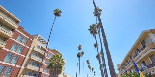 943 Elden Ave, Gallery 2