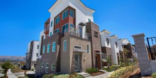 2986 Lina ST 7 Gallery 16