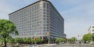 The Noble Gallery 40