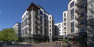 Hazel Southpark Gallery 54