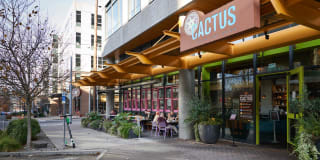 Mark on 8th Gallery 32