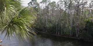 9616 Cypress Hammock Cir Gallery 23