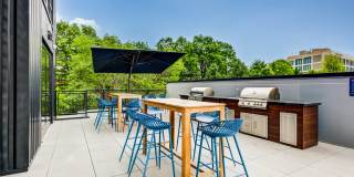 Axis 201 Axis 201 Gallery 3