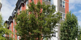 Terrazza Apodment Homes Gallery 1