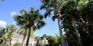 10330 ESTERO BAY LANE Gallery 23