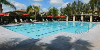 Beautiful 4 bed, 2.5 bath unit in Orange. Gallery 29