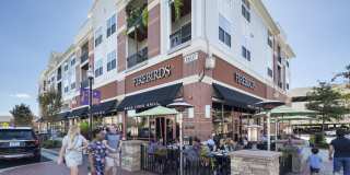 Windsor Leesburg Parent Gallery 35