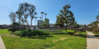 Plaza Verde Plaza Verde Gallery 10