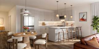 Juniper on Main Gallery 19