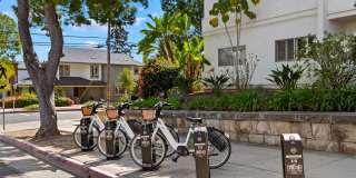 Live the American Riviera Experience! Live the American Riviera Experience! Gallery 26