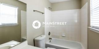 11 Basin Elm Gallery 9