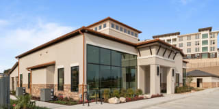 Reveal Skyline Gallery 56