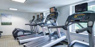 Wexford Village Gallery 27