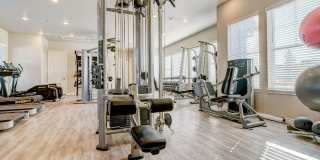 BB Living Light Farms Gallery 41