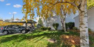 Peaks on Pines Gallery 21