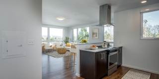 The Marilyn Gallery 14