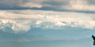 Chelsea Heights Gallery 19