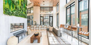 Modera Golden Triangle Gallery 13