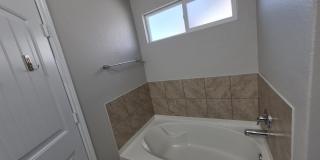 2634 Willow Pond Gallery 26