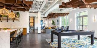 Terrain on the Parkway Gallery 9