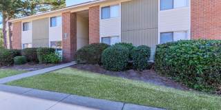 Ridgewood Gallery 20