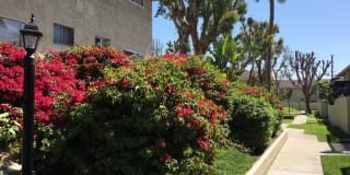 Mountain Crest Apartments Gallery 14