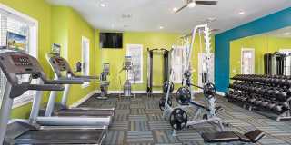 Addison Crater Woods Gallery 15