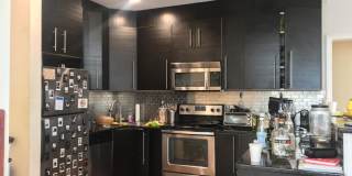 Huge, updated, sunny 5 bed in Coolidge Corner for 9/1! Gallery 1