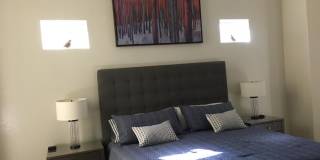 3634 N Morning Dove Gallery 15