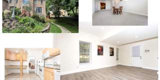 Beautiful and Spacious Lower Level Unit, Separate Entrance, Util. Included-Potomac, MD Gallery 1
