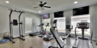 LEO at the Sanctuary Gallery 14